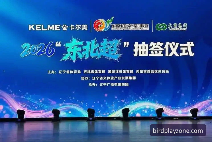 小鸟体育2026新版地址功能全面评测：从新手到高手的完整体验报告
