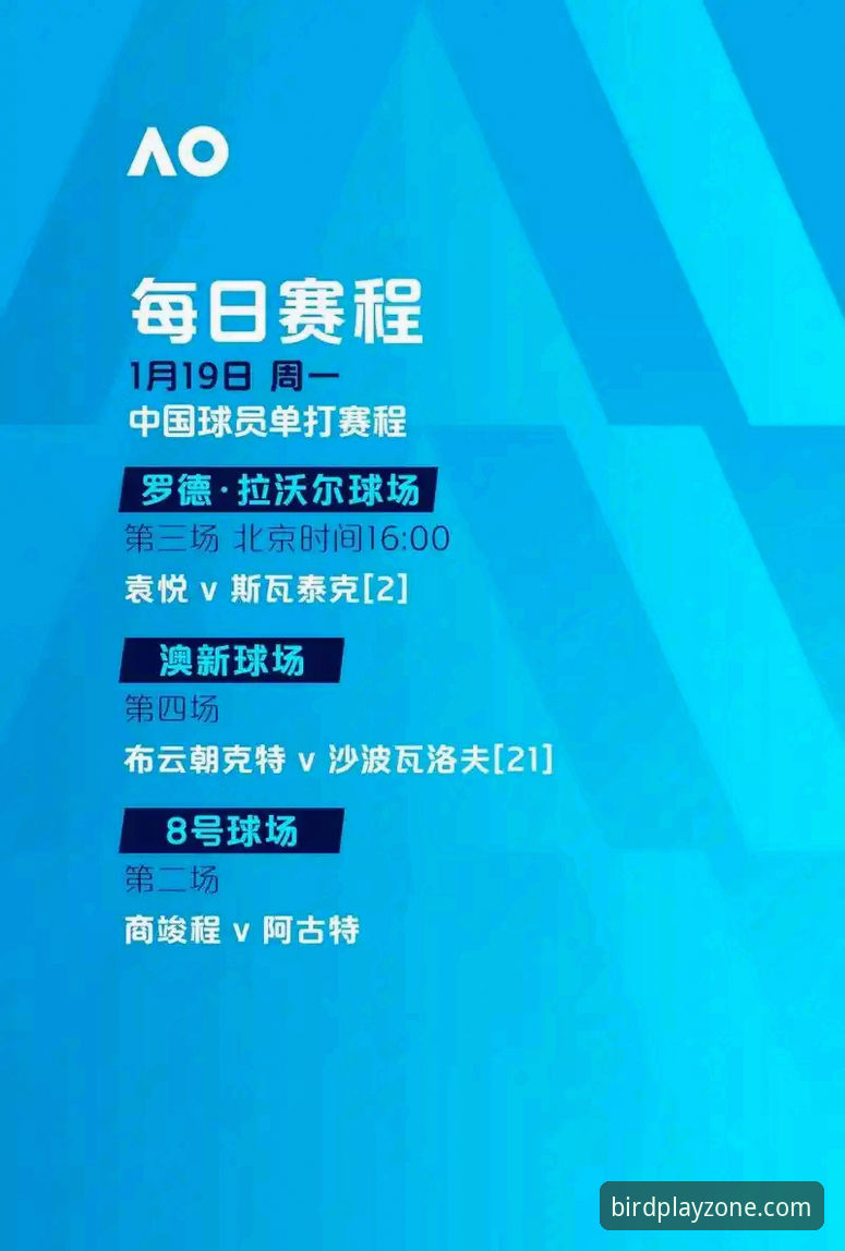 小鸟体育官方登录下载遇阻？2026新版入口最新动态与解决方案