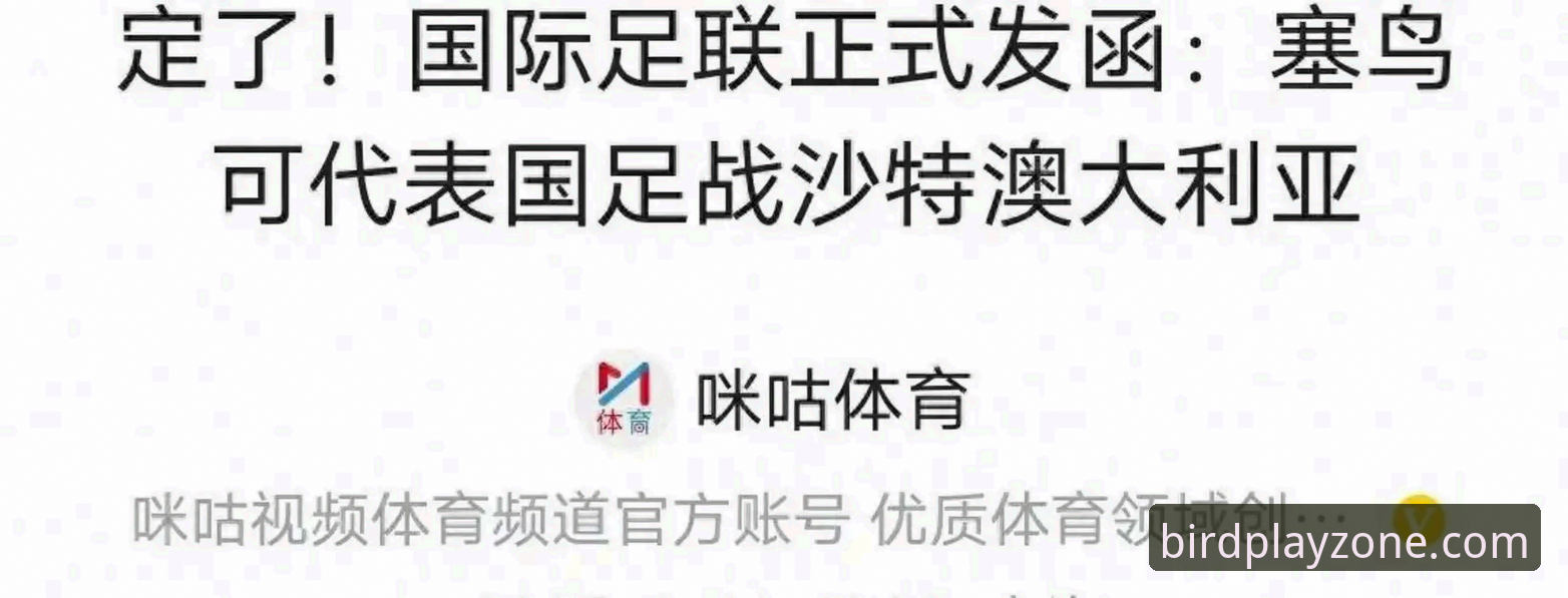 老用户亲测：小鸟体育安卓版怎么下载？2026新版安装全攻略